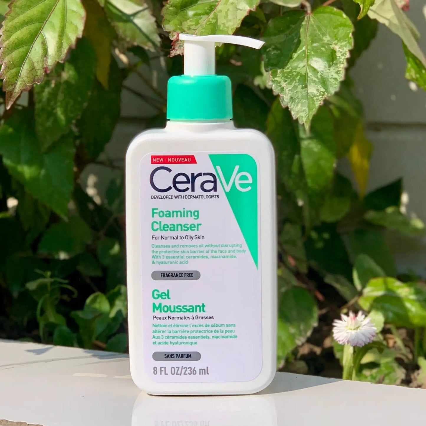 Cleanser for Normal to Oily Skin